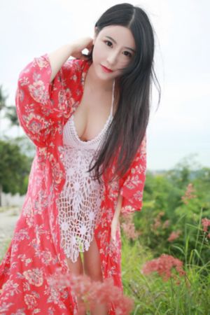 河南卫视今天节目表全天预告_4K高清视频观看