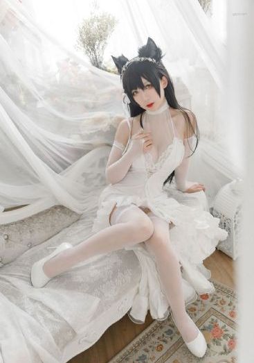 长风镖局全集免费观看_蓝光高清在线观看