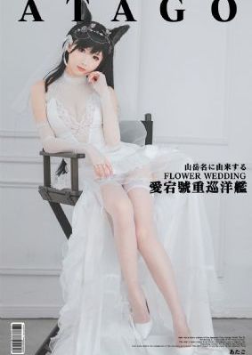 白狼电视剧全集30集在线播放_1080影视在线观看