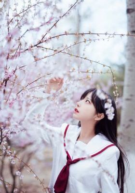 黄玫瑰的故事电视剧免费观看_在线电影观看